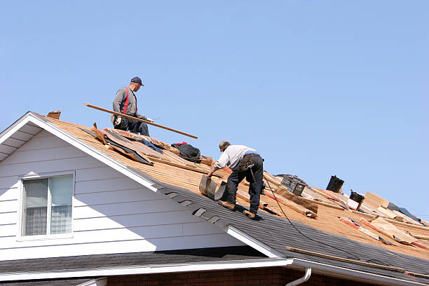 Asphalt Shingles Roofing in Lakewood, IL